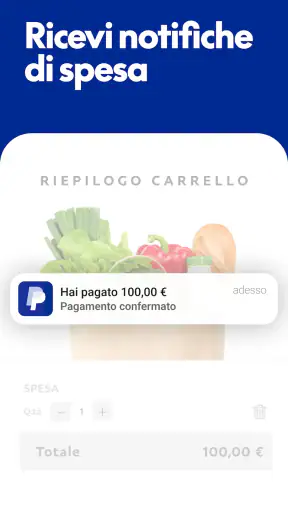 PayPal screenshot 3