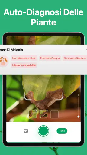 PictureThis Identificar Planta screenshot 12