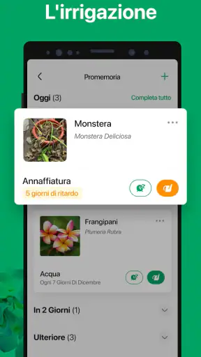 PictureThis Identificar Planta screenshot 5