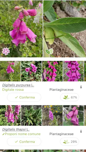 PlantNet Plant Identification screenshot 2