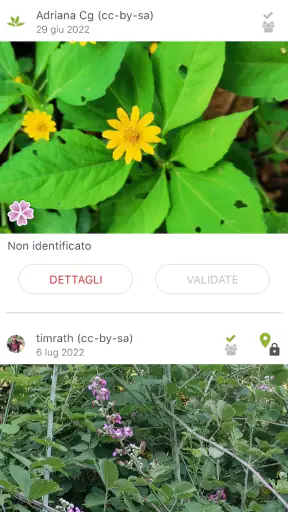 PlantNet Plant Identification screenshot 4