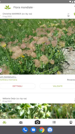 PlantNet Plant Identification screenshot 8