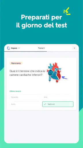 Quizlet: Flashcard con IA screenshot 8