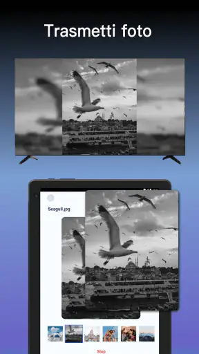 Schermo a Specchio sulla TV screenshot 12