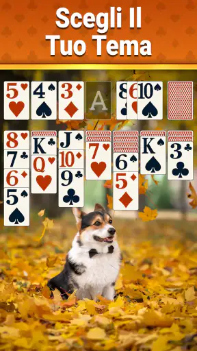 Solitario Classico - 2026 screenshot 6