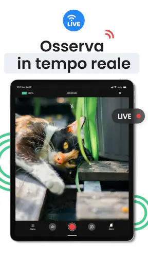 Videocamera sicurezza: Visory screenshot 12