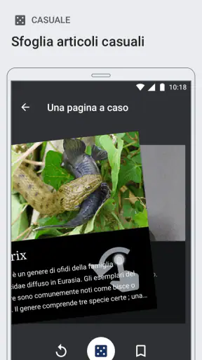 Wikipedia screenshot 3