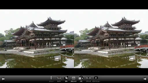 3DSteroid Pro screenshot 12