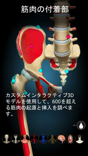Anatomy Learning - 3D解剖学 screenshot 10