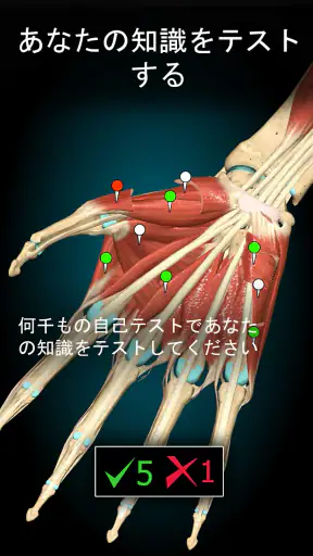 Anatomy Learning - 3D解剖学 screenshot 11
