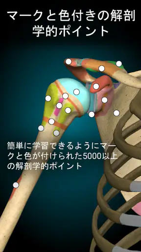 Anatomy Learning - 3D解剖学 screenshot 9