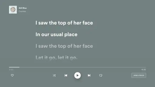 Android TV用Spotifyミュージック screenshot 11