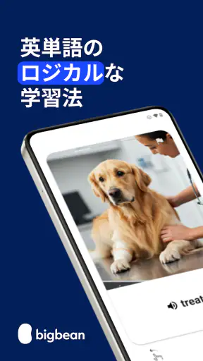 BigBean - 英語の基本3000単語を学ぼう screenshot