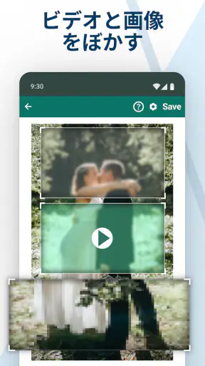 Blur Video & Image screenshot