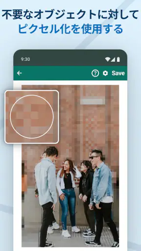 Blur Video & Image screenshot