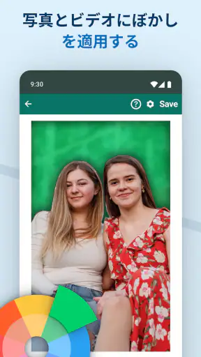 Blur Video & Image screenshot