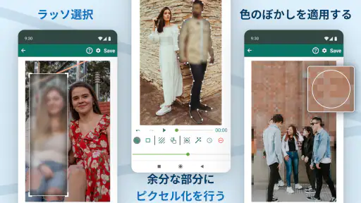 Blur Video & Image screenshot