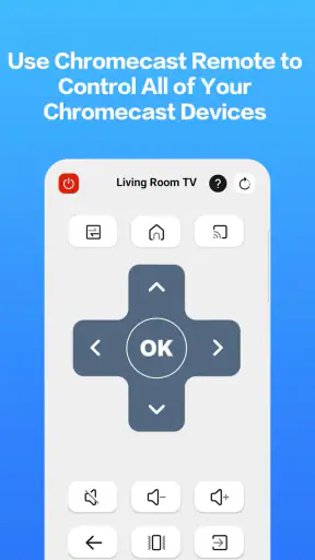 Castly -Roku, Chromecast,DLNA screenshot