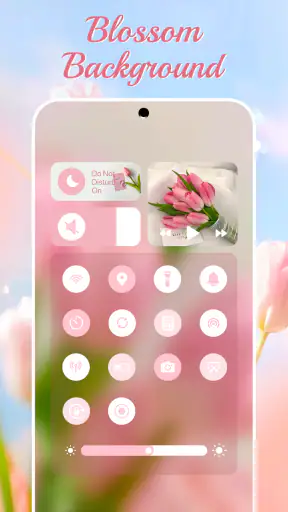 Control Widget - Themed Panels screenshot 10