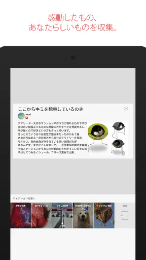 Flipboard screenshot 11