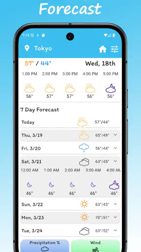 Froggy Weather screenshot