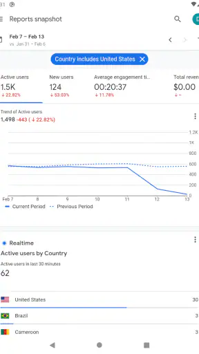 Google アナリティクス screenshot