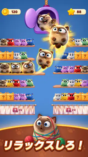 Meow Sort-Color Puzzle Master screenshot 11