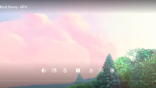 MNet Player screenshot