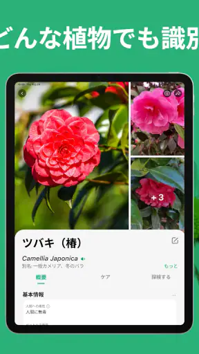 PictureThis:撮ったら、判る-1秒植物図鑑 screenshot 10