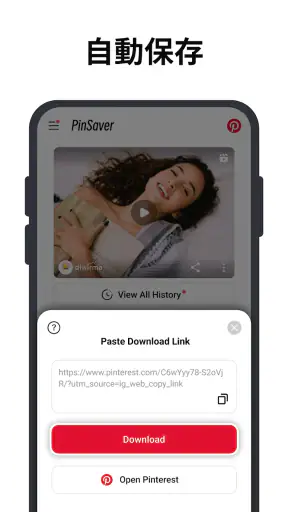 Pinterest用ビデオダウンローダー screenshot