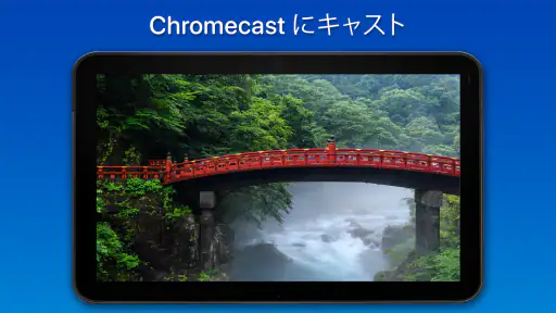 PixFolio - Google フォト screenshot 9