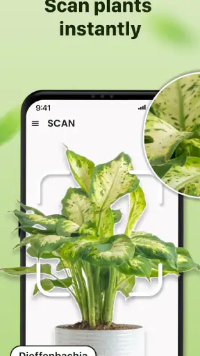 Plantid: 植物識別AI screenshot 11