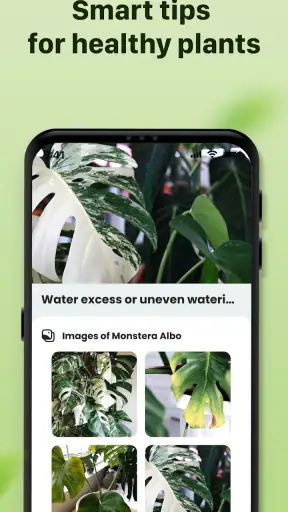 Plantid: 植物識別AI screenshot