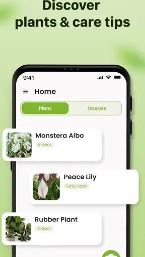 Plantid: 植物識別AI screenshot 9