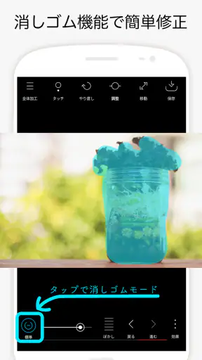 Point Blur ポイントぼかし・モザイク加工 screenshot 11