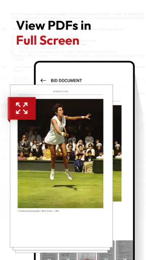 Run PDF-Read PDF screenshot