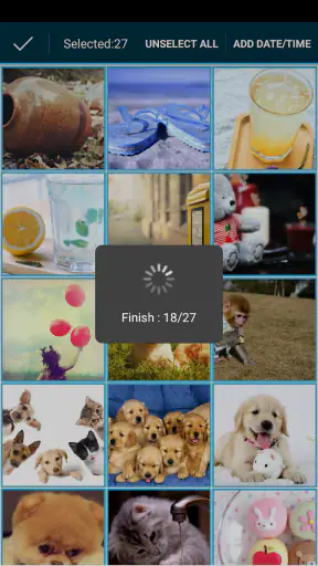 Timestamp Photo and Video Pro screenshot 10