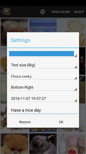 Timestamp Photo and Video Pro screenshot 11