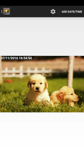 Timestamp Photo and Video Pro screenshot 9