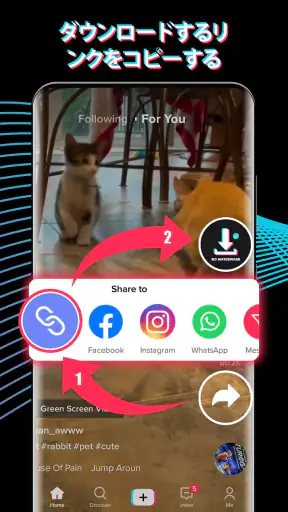 TTの動画保存アプリ(TDownloader)，id なし screenshot