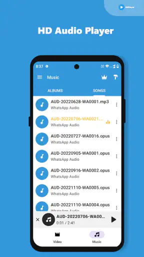 Video Player All Format HD screenshot