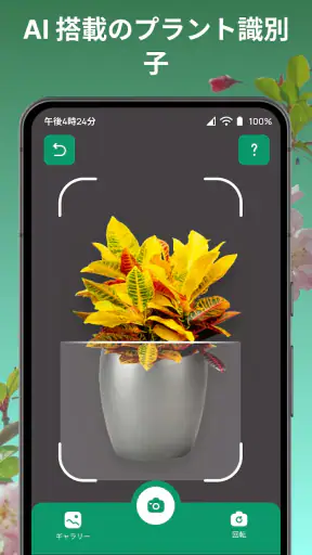 しょくぶつ図鑑 - きのこ図鑑 - 植物認識アプリ screenshot 12