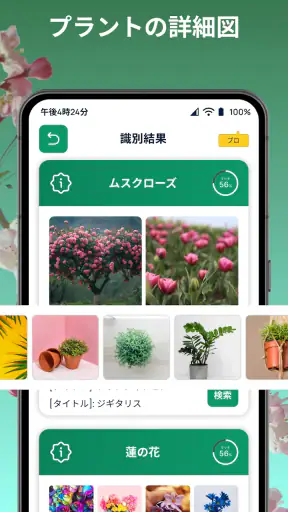 しょくぶつ図鑑 - きのこ図鑑 - 植物認識アプリ screenshot