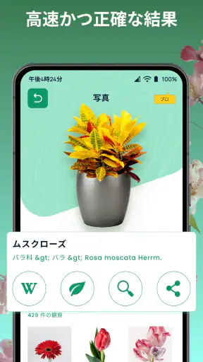 しょくぶつ図鑑 - きのこ図鑑 - 植物認識アプリ screenshot