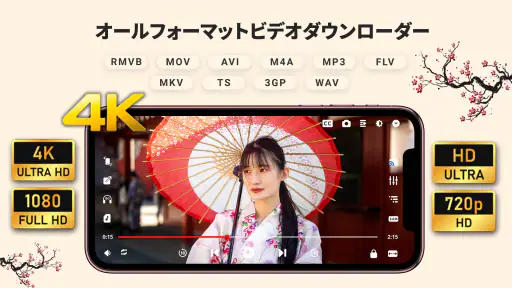すべての形式に対応するHDビデオダウンローダー screenshot