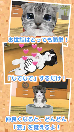 ねこ育成ゲーム - 子猫をのんびり育てる癒しの猫育成ゲーム screenshot 11