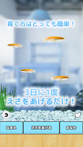 まったりメダカ育成ゲーム screenshot 10