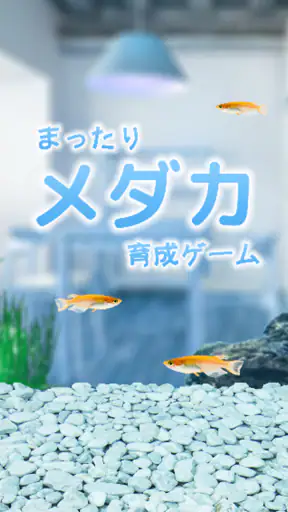 まったりメダカ育成ゲーム screenshot 9