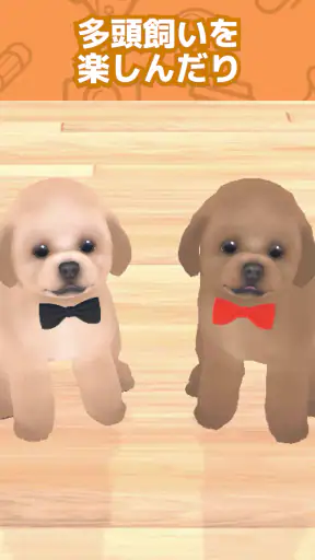 わんこと私 - 子犬のペット育成ゲーム screenshot 12