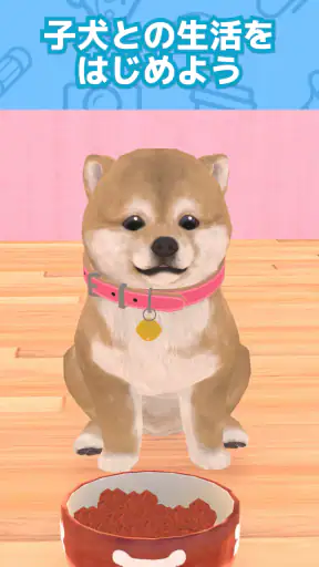 わんこと私 - 子犬のペット育成ゲーム screenshot 9